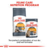 Hair And Skin Care - Image 3