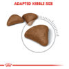Hairball Care - Image 2