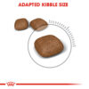 Urinary Care - Image 2