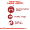 Royal Canin Fit 32 - Image 4