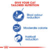 Royal Canin Indoor 27 - Image 5