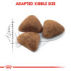 Royal Canin Indoor 27 - Image 2
