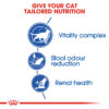 Royal Canin Indoor 7+ - Image 5