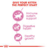 Royal Canin Kitten - Image 4