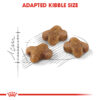 Royal Canin Kitten - Image 2