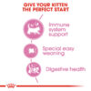Royal Canin Mother & Babycat - Image 4
