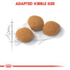 Royal Canin Exigent 42 Protein - Image 2