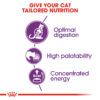 Royal Canin Sensible 33 - Image 4