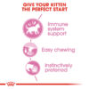 Royal Canin Wet Kitten Pouch - 1.20KG - Image 4